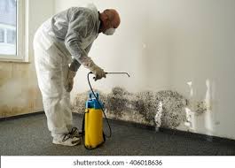 Best Emergency Mold Remediation  in Belleville, PA